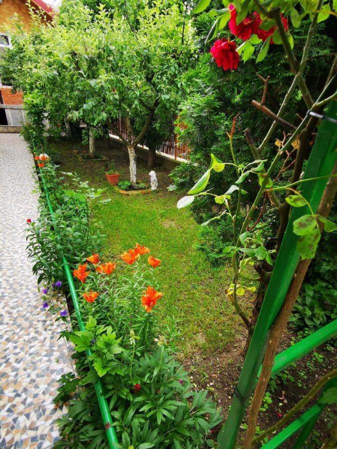 Pensiunea Eden Куртя-де-Арджеш Екстер'єр фото