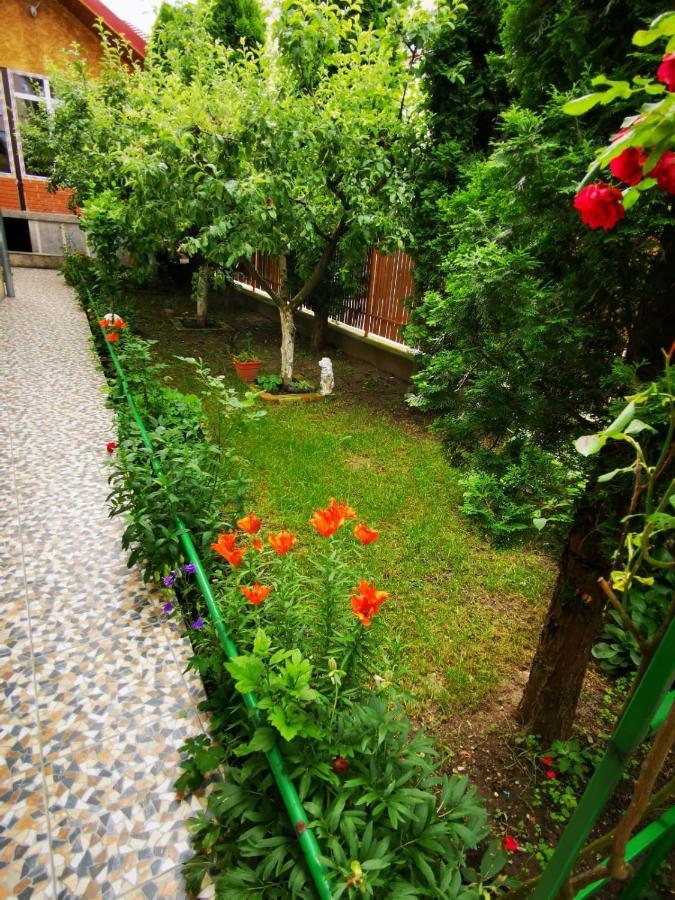 Pensiunea Eden Куртя-де-Арджеш Екстер'єр фото
